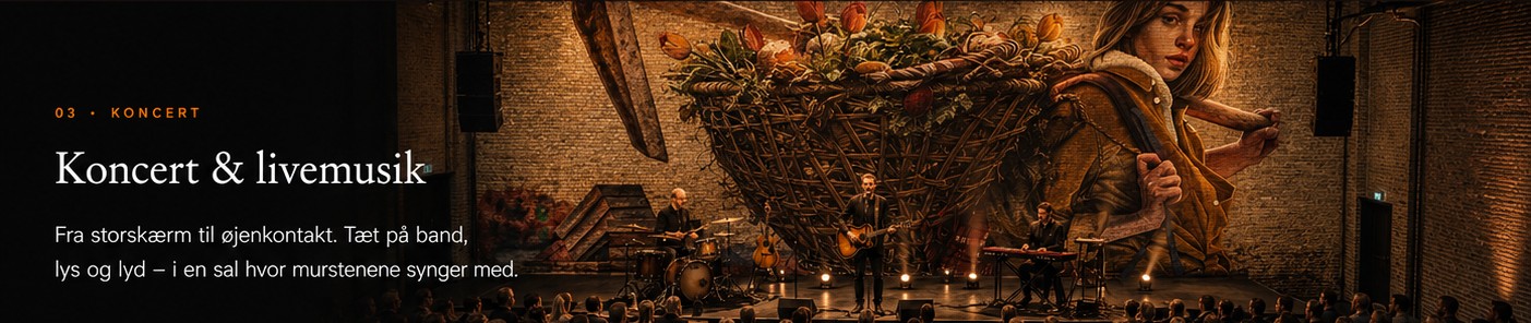 Koncert & livemusik